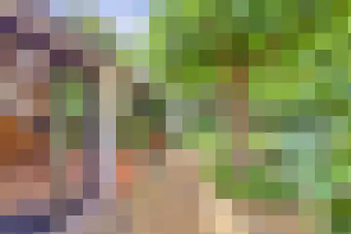 Ninnesweg 107 Panningen thumbnail 31