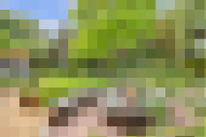 Ninnesweg 107 Panningen thumbnail 33