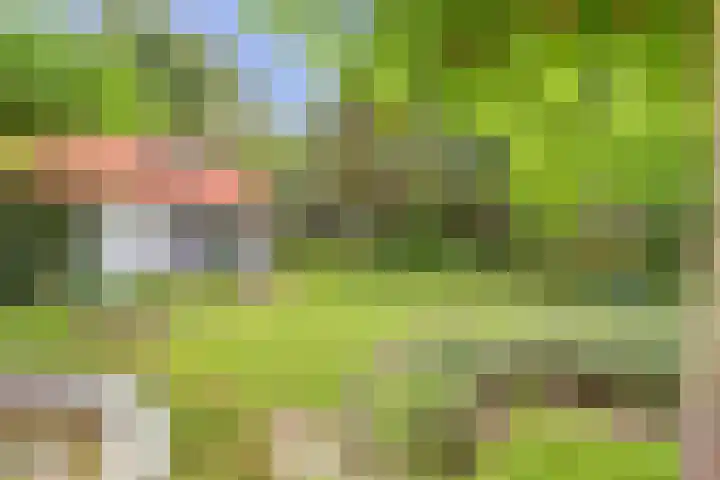 Ninnesweg 107 Panningen thumbnail 34
