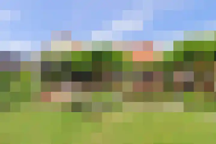 Ninnesweg 107 Panningen thumbnail 35