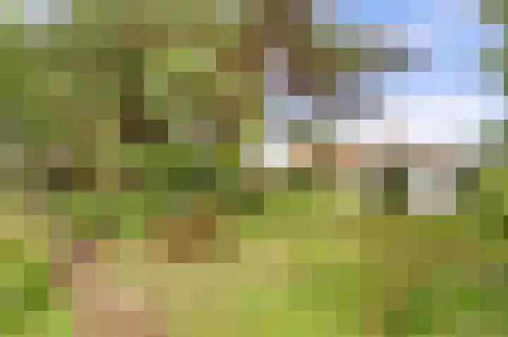 Ninnesweg 107 Panningen thumbnail 38
