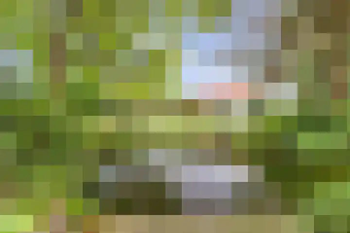 Ninnesweg 107 Panningen thumbnail 39