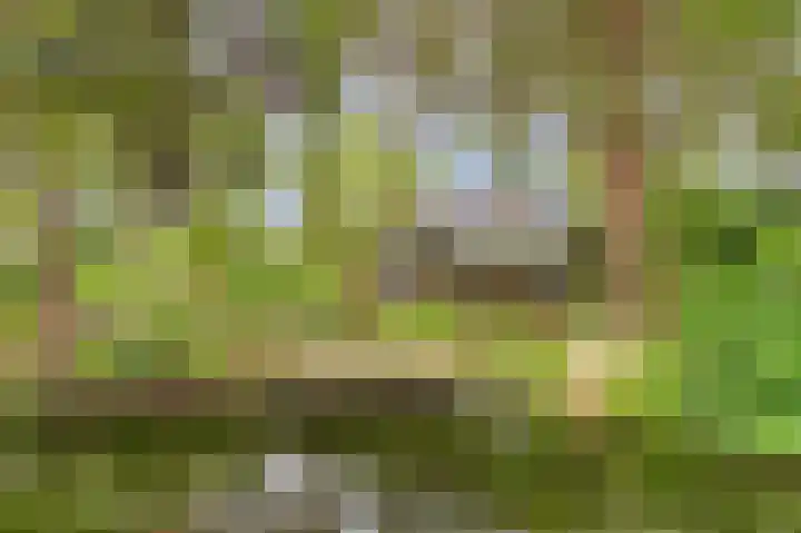Ninnesweg 107 Panningen thumbnail 40