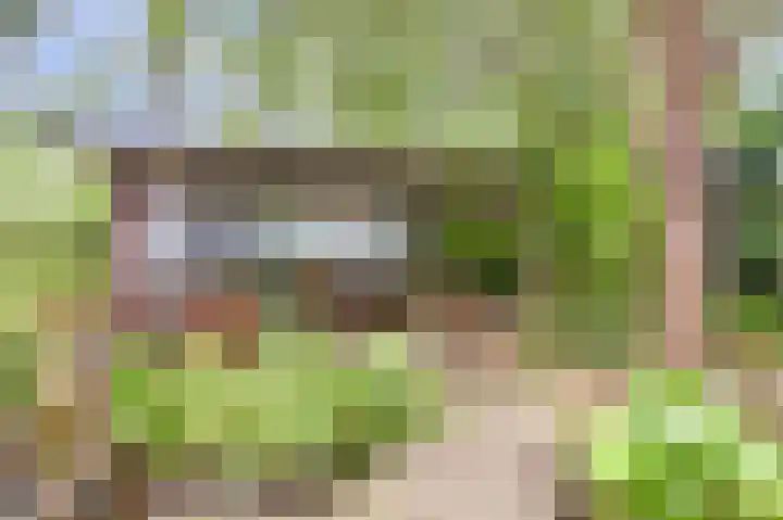 Ninnesweg 107 Panningen thumbnail 41