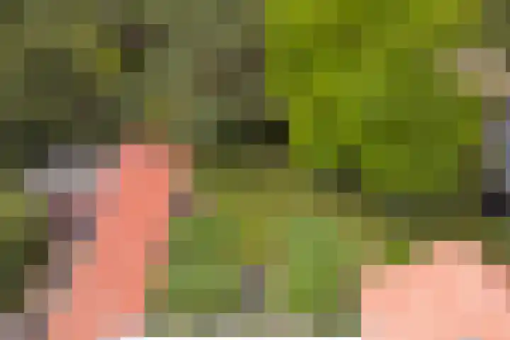 Ninnesweg 107 Panningen thumbnail 42