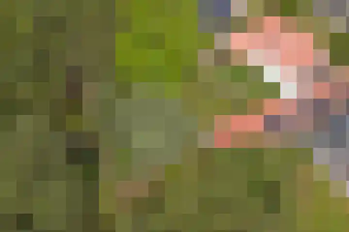 Ninnesweg 107 Panningen thumbnail 43