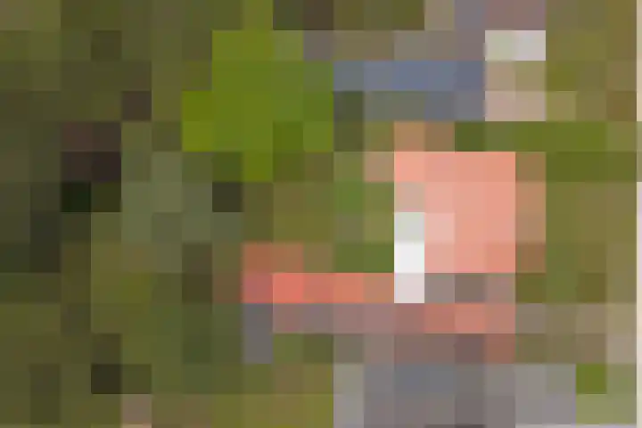 Ninnesweg 107 Panningen thumbnail 44