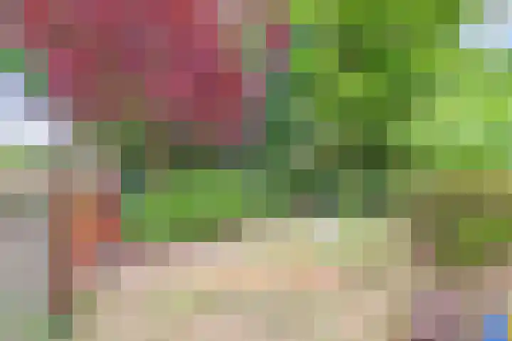 Ninnesweg 107 Panningen thumbnail 45