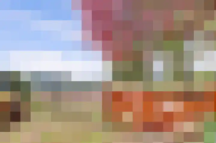 Ninnesweg 107 Panningen thumbnail 46