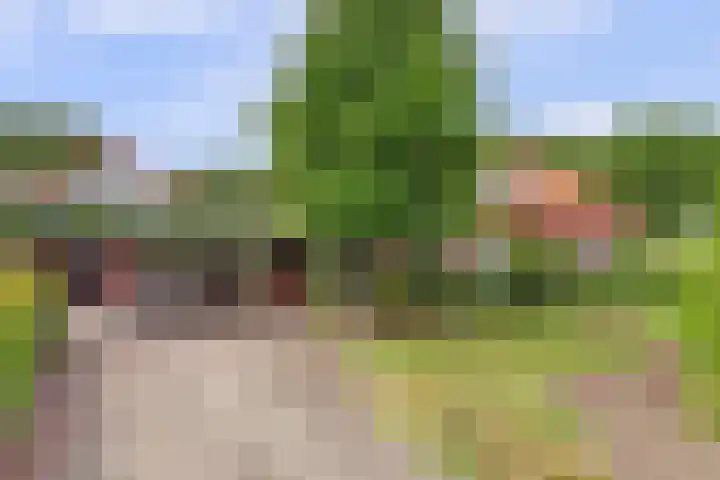 Ninnesweg 107 Panningen thumbnail 48
