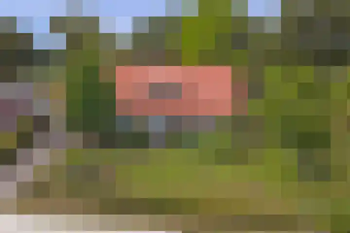Ninnesweg 107 Panningen thumbnail 49
