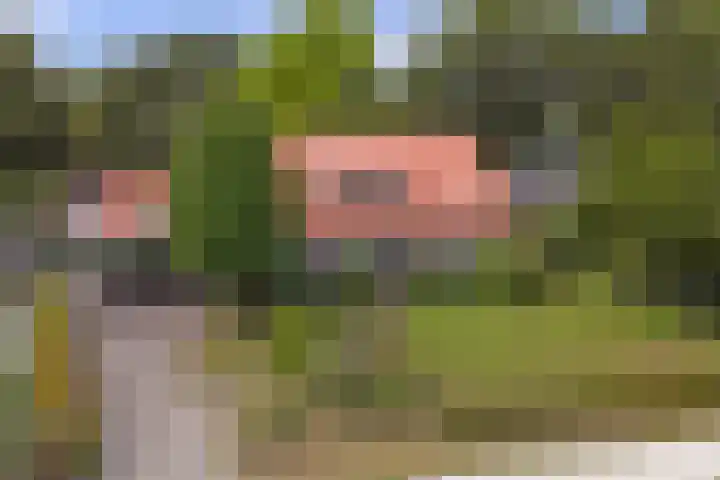 Ninnesweg 107 Panningen thumbnail 52