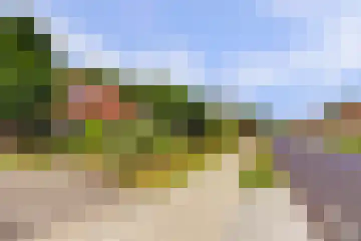 Ninnesweg 107 Panningen thumbnail 53