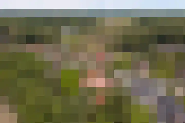 Ninnesweg 107 Panningen thumbnail 54