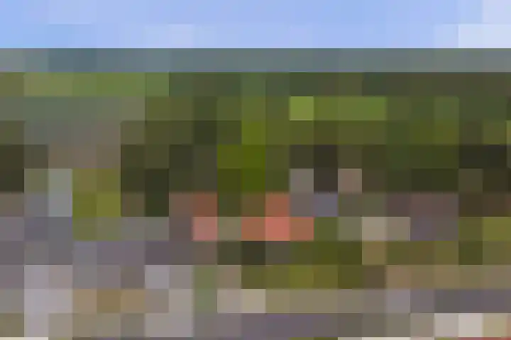 Ninnesweg 107 Panningen thumbnail 55