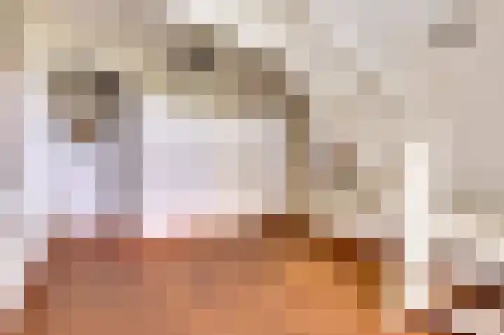 Ninnesweg 107 Panningen thumbnail 6