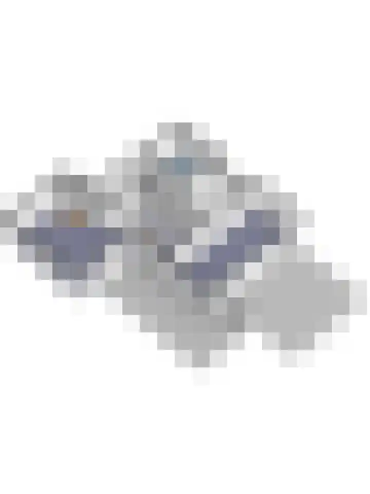 Ninnesweg 107 Panningen thumbnail 60