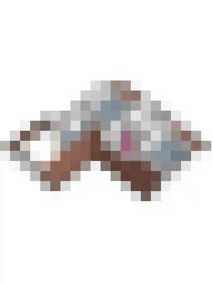 Ninnesweg 107 Panningen thumbnail 61
