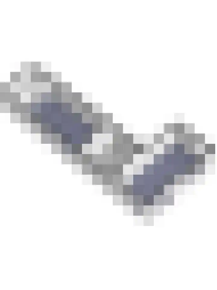 Ninnesweg 107 Panningen thumbnail 62