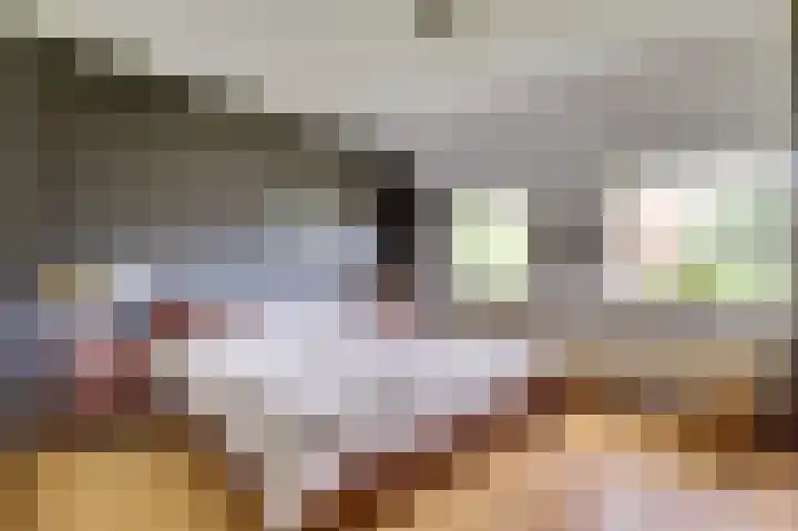 Ninnesweg 107 Panningen thumbnail 8
