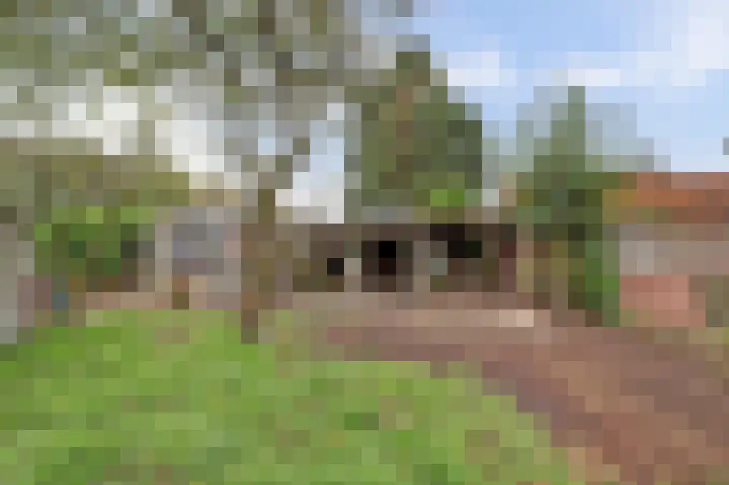 Ninnesweg 142 Panningen thumbnail 29