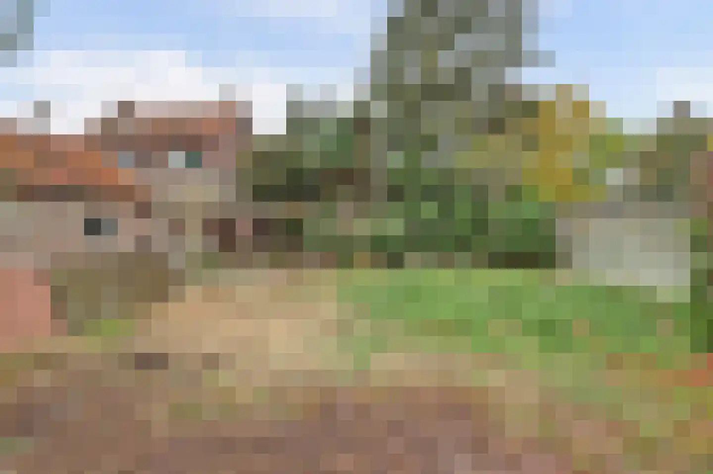 Ninnesweg 142 Panningen thumbnail 30