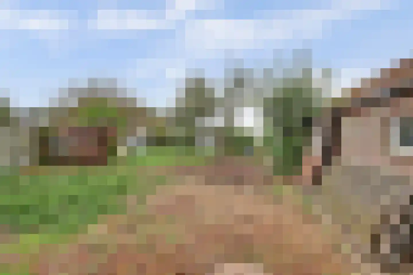 Ninnesweg 142 Panningen thumbnail 31