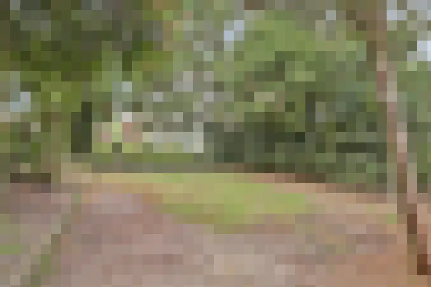 Ninnesweg 142 Panningen thumbnail 32
