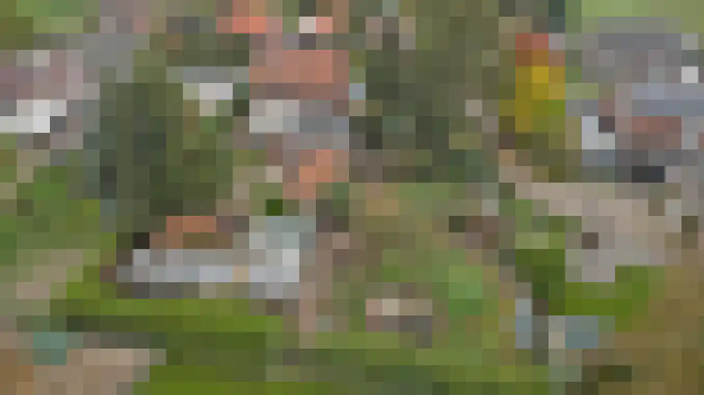 Ninnesweg 142 Panningen thumbnail 36