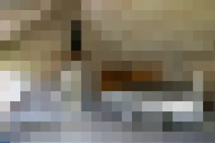 Ninnesweg 25 Panningen thumbnail 28