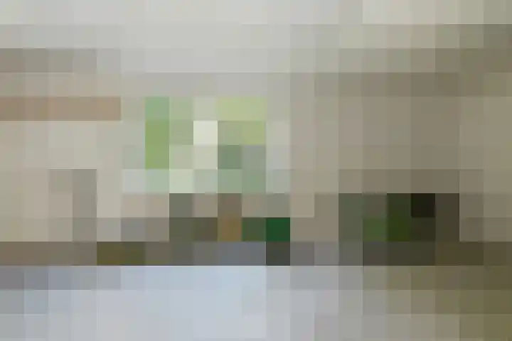 Ninnesweg 25 Panningen thumbnail 29