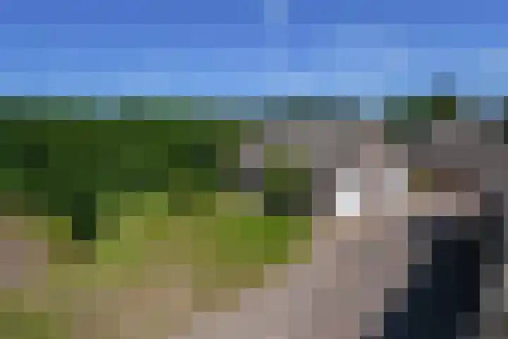 Ninnesweg 25 Panningen thumbnail 32