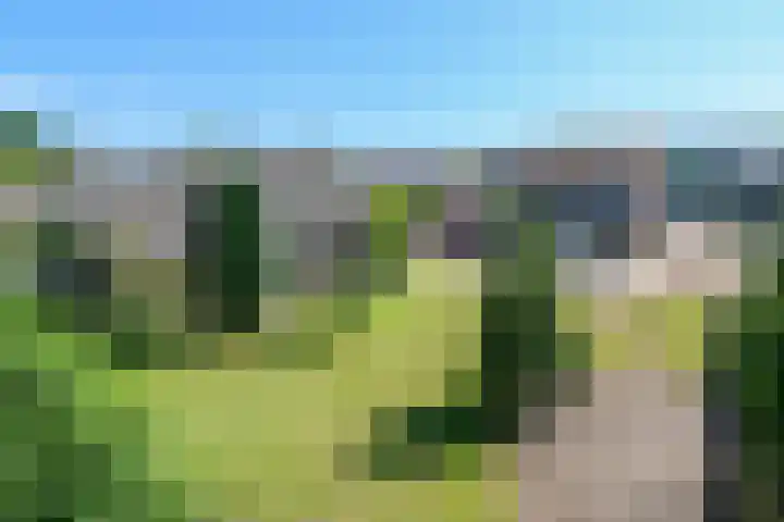 Ninnesweg 25 Panningen thumbnail 35