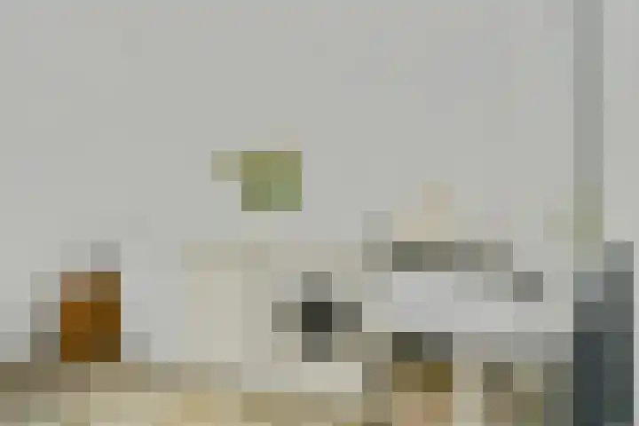 Ninnesweg 69 Panningen thumbnail 15