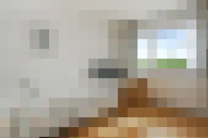 Ninnesweg 69 Panningen thumbnail 18
