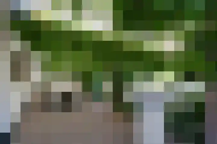 Ninnesweg 69 Panningen thumbnail 21