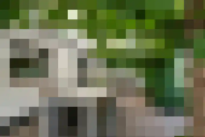 Ninnesweg 69 Panningen thumbnail 22