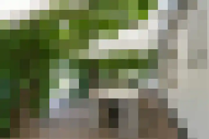 Ninnesweg 69 Panningen thumbnail 23