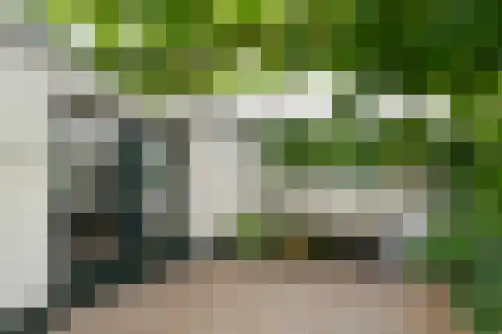 Ninnesweg 69 Panningen thumbnail 24