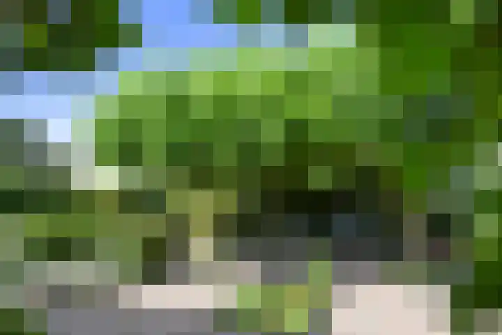 Ninnesweg 69 Panningen thumbnail 27