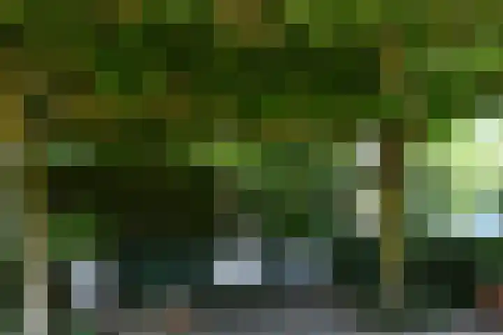 Ninnesweg 69 Panningen thumbnail 28