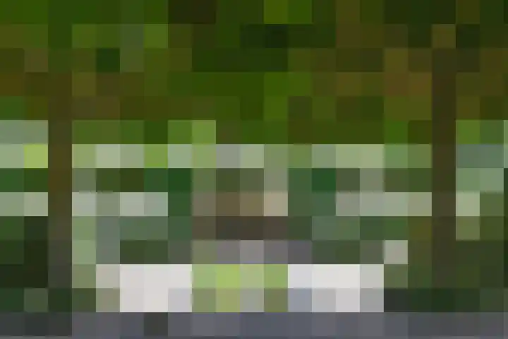 Ninnesweg 69 Panningen thumbnail 29
