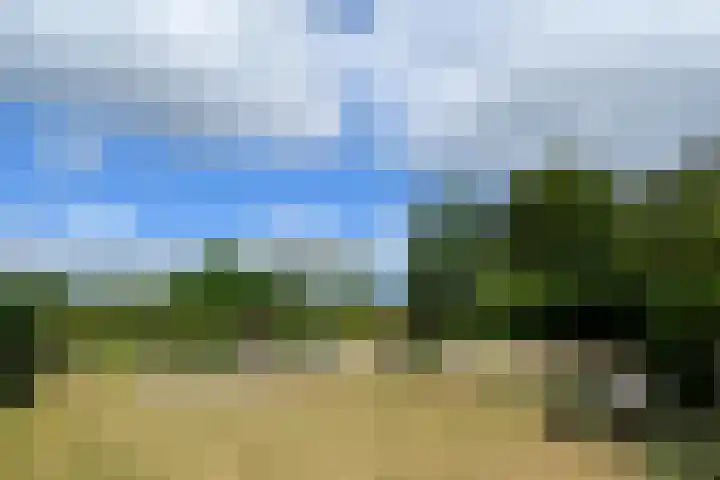 Ninnesweg 69 Panningen thumbnail 31