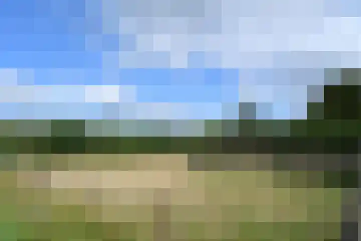 Ninnesweg 69 Panningen thumbnail 37