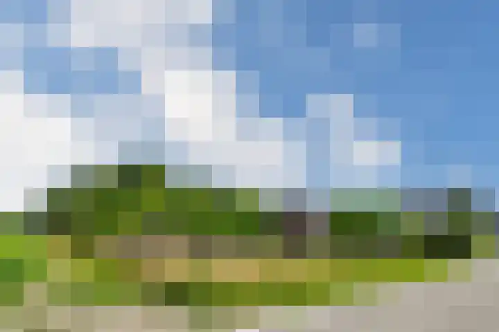 Ninnesweg 69 Panningen thumbnail 38