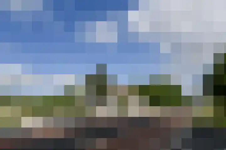 Ninnesweg 69 Panningen thumbnail 4