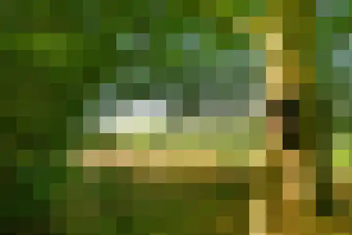Ninnesweg 69 Panningen thumbnail 42