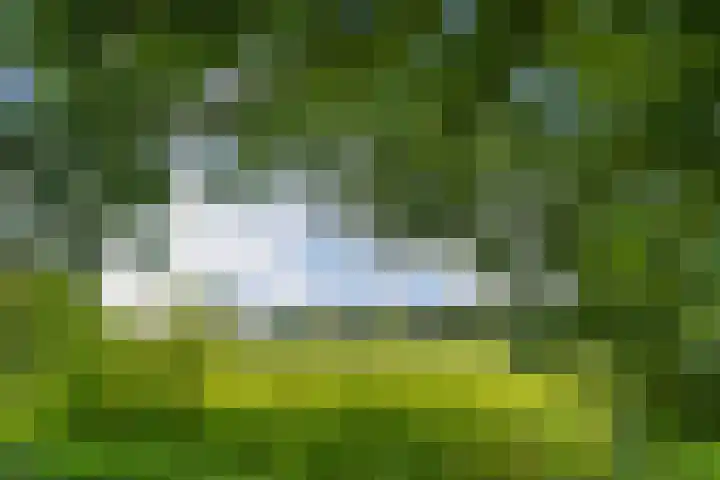 Ninnesweg 69 Panningen thumbnail 44