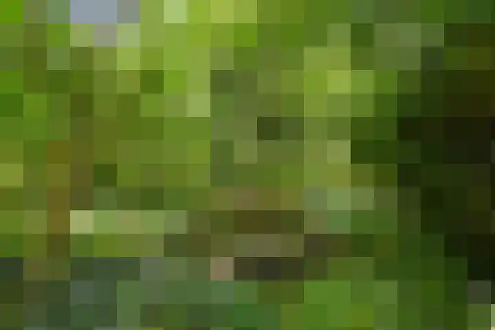 Ninnesweg 69 Panningen thumbnail 45