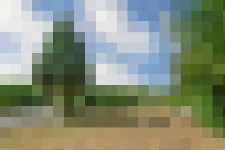 Ninnesweg 69 Panningen thumbnail 46